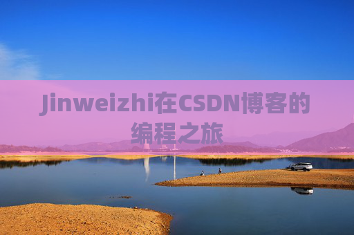 Jinweizhi在CSDN博客的编程之旅